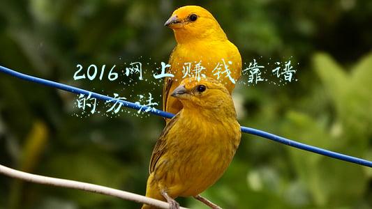 网上赚钱靠不靠谱(我不是财神丨互联网保险可信吗？专家这样说)