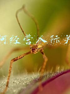 如何改善人际关系，如何处理好人际关系