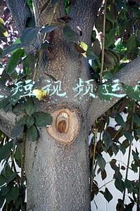 垂直类短视频运营思路