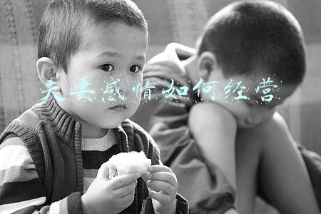 夫妻之间如何经营感情的书_夫妻之间如何经营感情