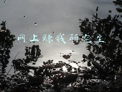 在校研究生怎么赚钱(读研能赚钱)
