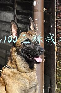 网上100元赚钱软件