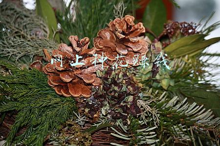 胳膊上种花是什么疫苗(48.7%受访者不清楚成年人需要注射哪些疫苗)