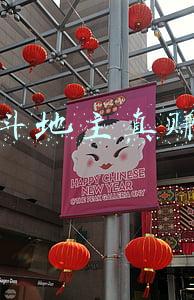 网上斗地主真赚钱吗