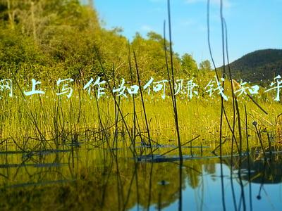 如何通过写作赚钱知乎(写作赚钱的三大渠道分享，在家码字就能挣钱，适合所有人)