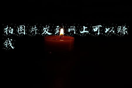 拍图片发到网上可以赚钱