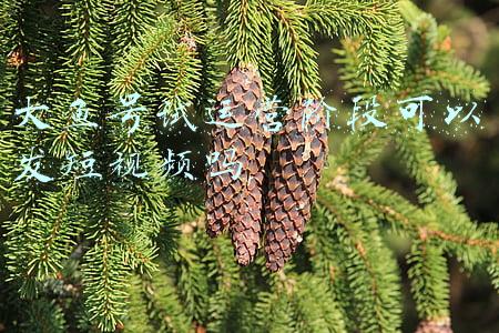 大鱼号数据中心(港股通5日资金流入流出排行榜 11月18日)