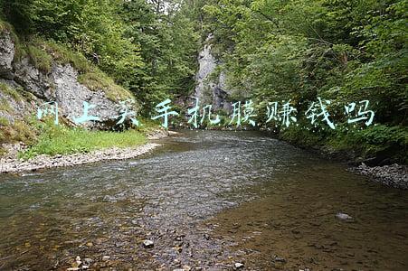 网上买手机膜赚钱吗