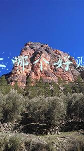 网上哪个贷款平台利息低比较好(门槛低的借贷平台推荐平安好贷App放款时间快)