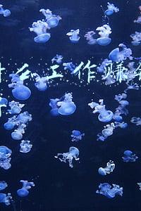 网上赌博不给提款(网上赌博赢了却不能提现)