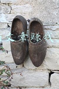 有没有读文章可以赚钱的网站(塔读老作者告诉你，网文新手该选什么样的平台才能月入过万)