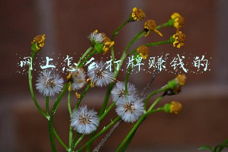 网上怎么打牌赚钱的