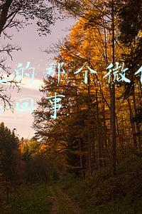网上说的那个微信赚钱是怎么回事