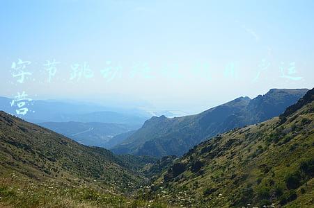 字节跳动短视频用户运营