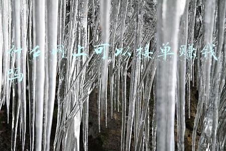 什么网上可以接单赚钱吗