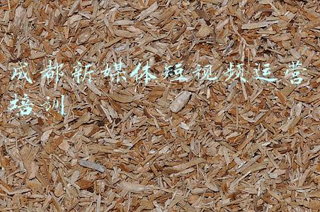 成都短视频公司(成都短视频拍摄制作公司，如何选择？)