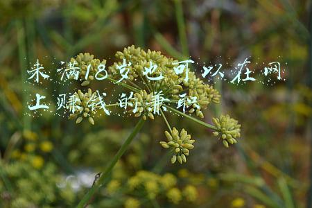 未满18岁也可以在网上赚钱的兼职