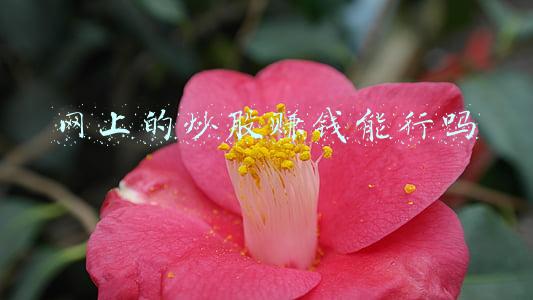 网上炒股骗局(西安63岁老人遭遇网上炒股骗局 20多万元养老钱被骗)