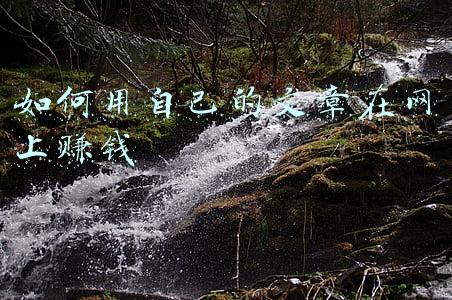 如何用自己的文章在网上赚钱