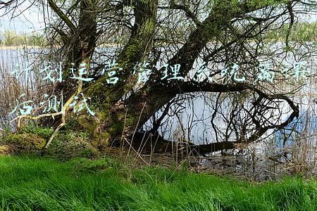 计划运营管理系统篇课后测试