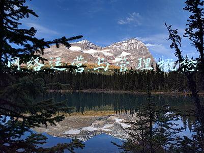 什么叫网络运营(都说运营薪资高，零基础到底怎样才能入门？)