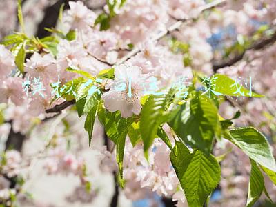 模拟公司经营管理游戏(模拟经营新作《这绝对不是炸鸡》上架Steam 支持简中)