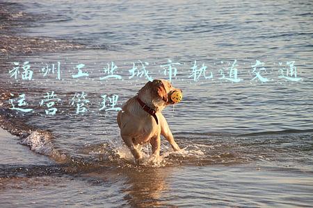 福州地铁运营公司(地铁2号线运营单位挂牌)