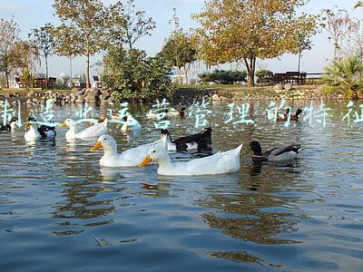 制造业运营管理的特征