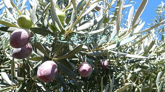 档案运营管理体系