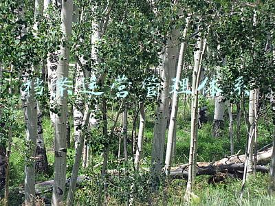 档案运营管理体系 档案运营管理体系