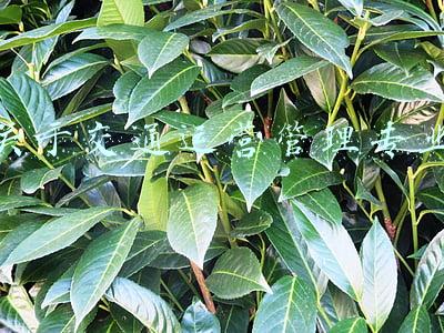 交通运营管理专业(相识南航，未来可期—交通运营管理专业欢迎你)