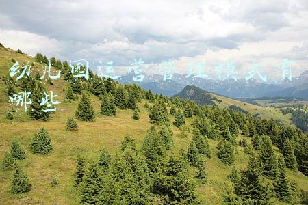 幼儿园经营管理模式(幼儿园管理)