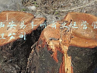 陕西易团车汽车贸易有限公司(咸阳：巩固成果促衔接 高点起步抓乡村振兴)