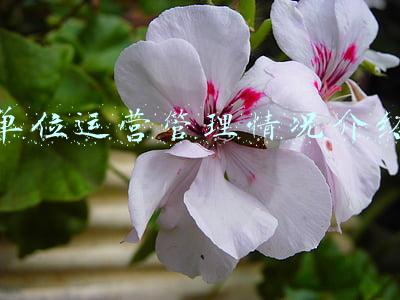 单位食堂运营情况说明(大米饭堂 | 餐饮店成功运营需要注意什么？)