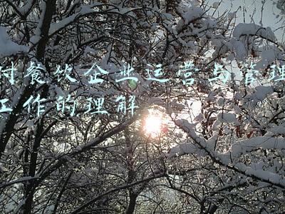 对餐饮企业运营与管理工作的理解