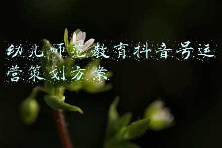 幼儿师范教育抖音号运营策划方案