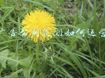 广告公司策划是做什么的(文案策划是什么？如何进入文案策划行业？)