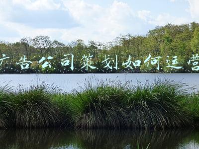 广告策划公司一般都做什么(广告公司的策划是做什么的呢？)