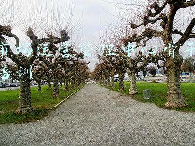 市场培训专员(龙口市场监管局积极组织餐饮服务从业人员培训考核)