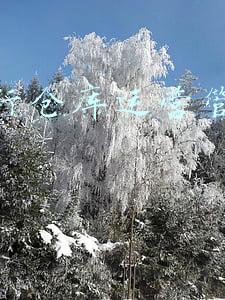 典当行仓库运营管理公司