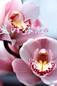 幻影星vr体验馆运营管理