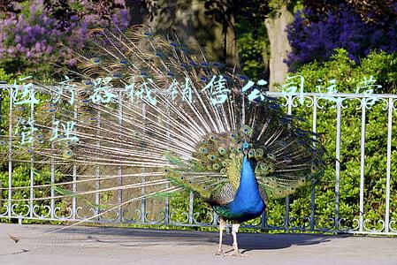 医疗器械销售公司简介范本(36氪首发 | 打造血管介入腔内诊疗平台型企业，「恒宇医疗」完成C轮融资)