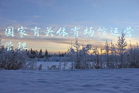 国家体育场馆(北京冬奥场馆大揭秘—国家体育场！举办开闭幕式，“鸟巢”变了)