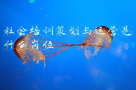 社会培训策划与运营是什么岗位