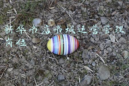 宁波新华书店网上书城(“宁波读书月”，新华书店带你阅见美好)