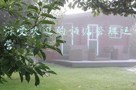 深受欢迎的酒店管理运营