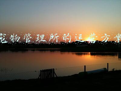 宠物管理系统的设计与实现(使用宠物店管理系统是实现品牌突破、门店升级的绝妙方式)