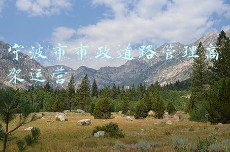 宁波市高架规划(总投资60多亿！宁波机场路高架将直达奉化城区！)