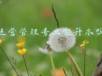 运营管理专业是文还是理科(高一决定加入铁道部，该怎么选科)