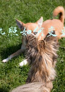 企业变更营业执照范围-企业变更营业执照范围股东会决议需要原件吗